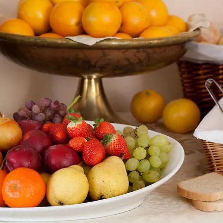 Leonardo Da Vinci 4* Erba