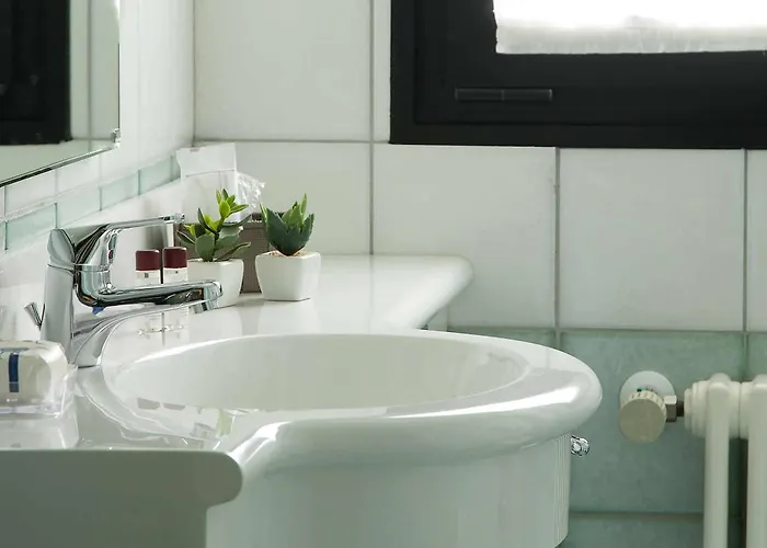 Leonardo Da Vinci 酒店 埃尔巴