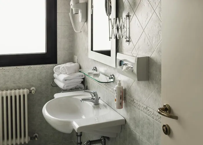 Leonardo Da Vinci 4*