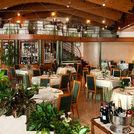 Leonardo Da Vinci Erba