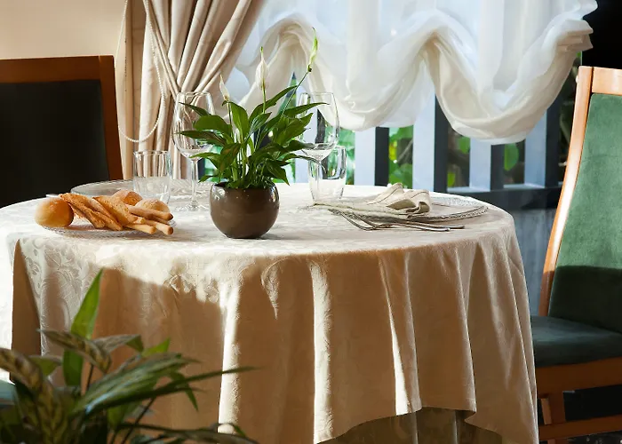 Leonardo Da Vinci Erba