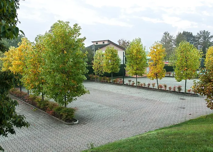 Leonardo Da Vinci 4* Erba